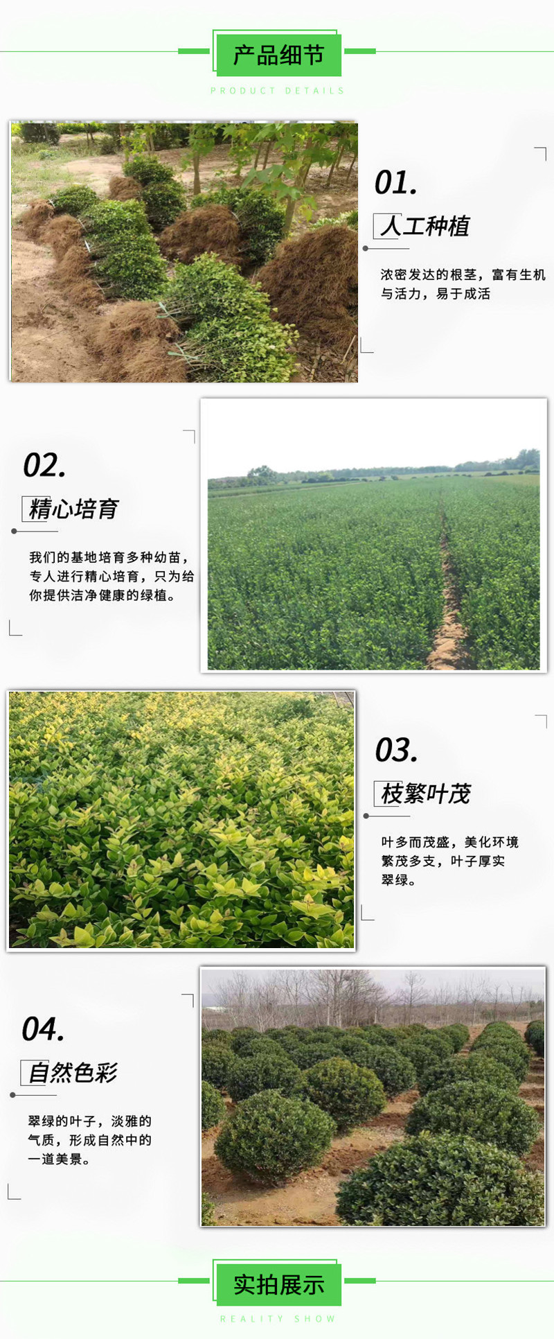 bfcb3a0dcbdf6acfa77d9492dbb8ffc0_12479233537_1794264659_副本